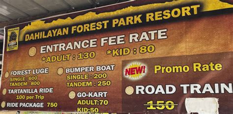 dahilayan room rates|Dahilayan Forest Park Resort .
